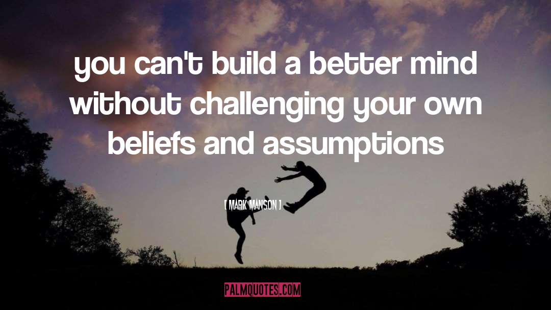 Build A Better Foundation quotes by Mark Manson
