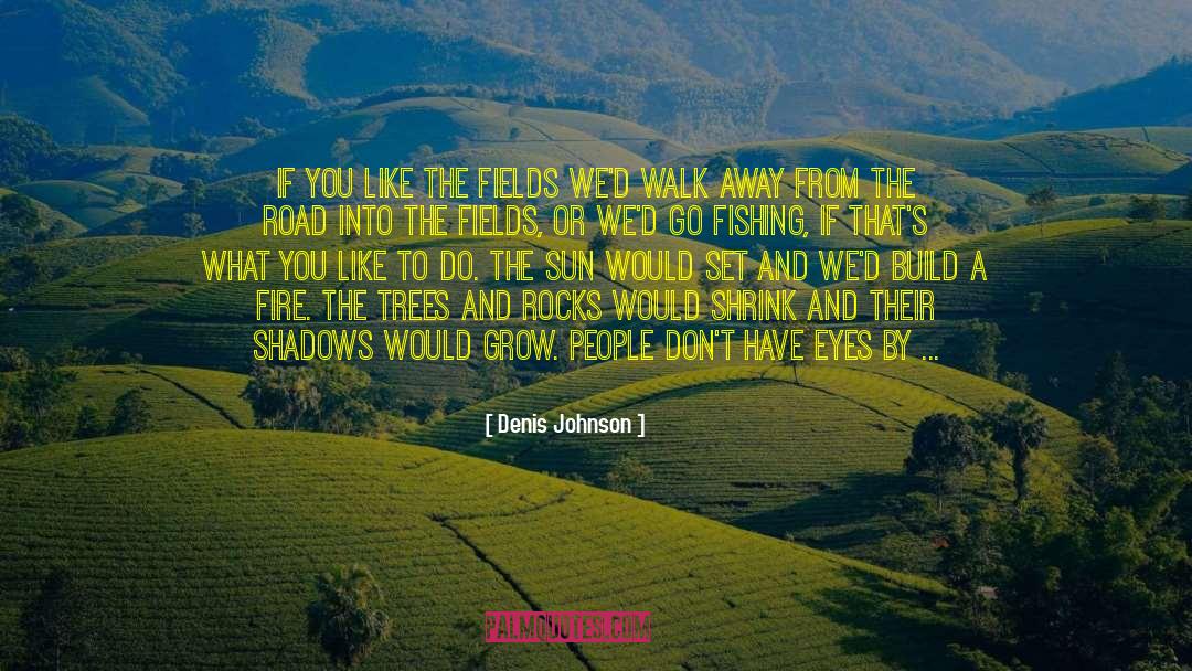 Build A Fire quotes by Denis Johnson