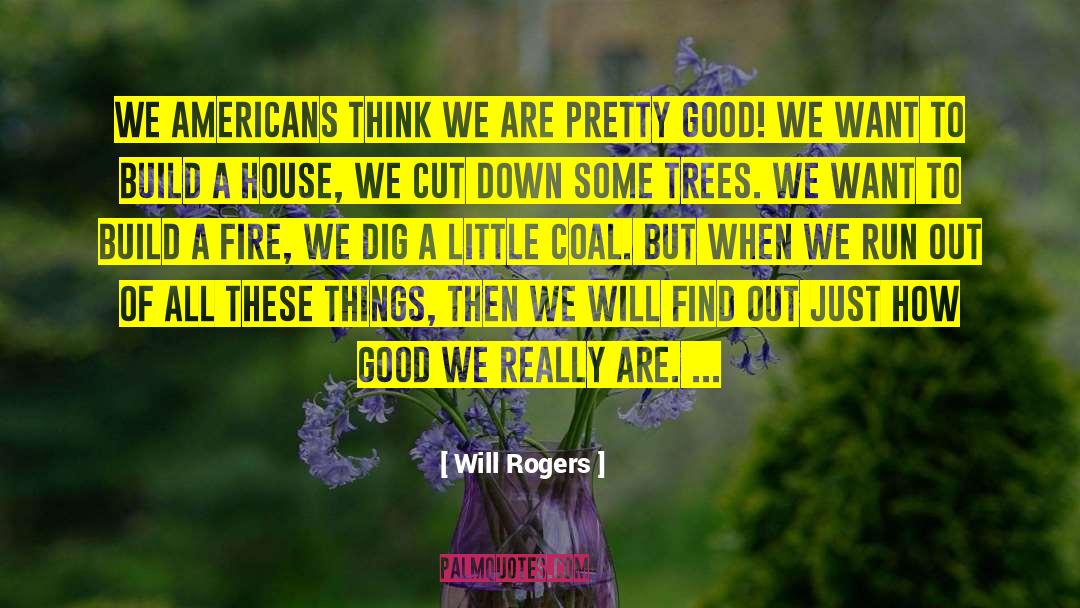 Build A Fire quotes by Will Rogers