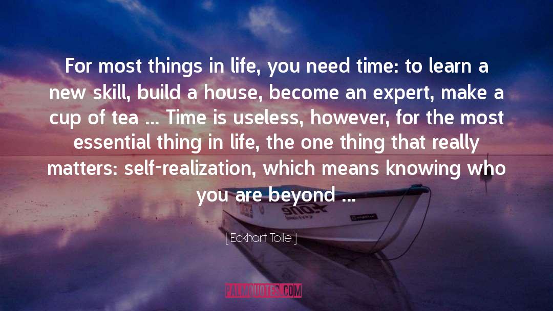 Build A House quotes by Eckhart Tolle