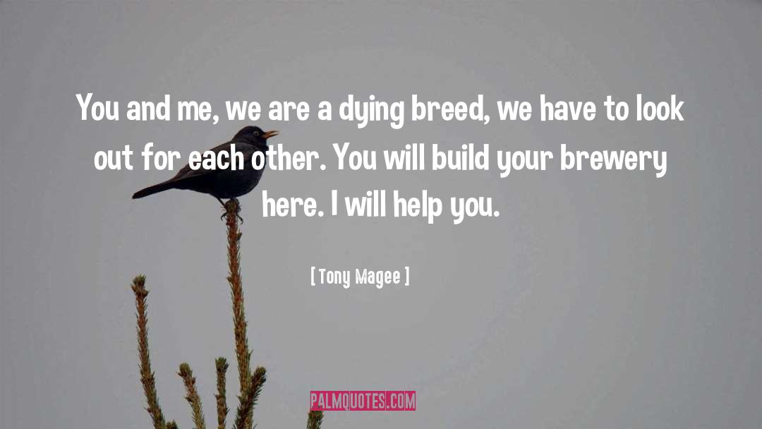 Build Me Up quotes by Tony Magee