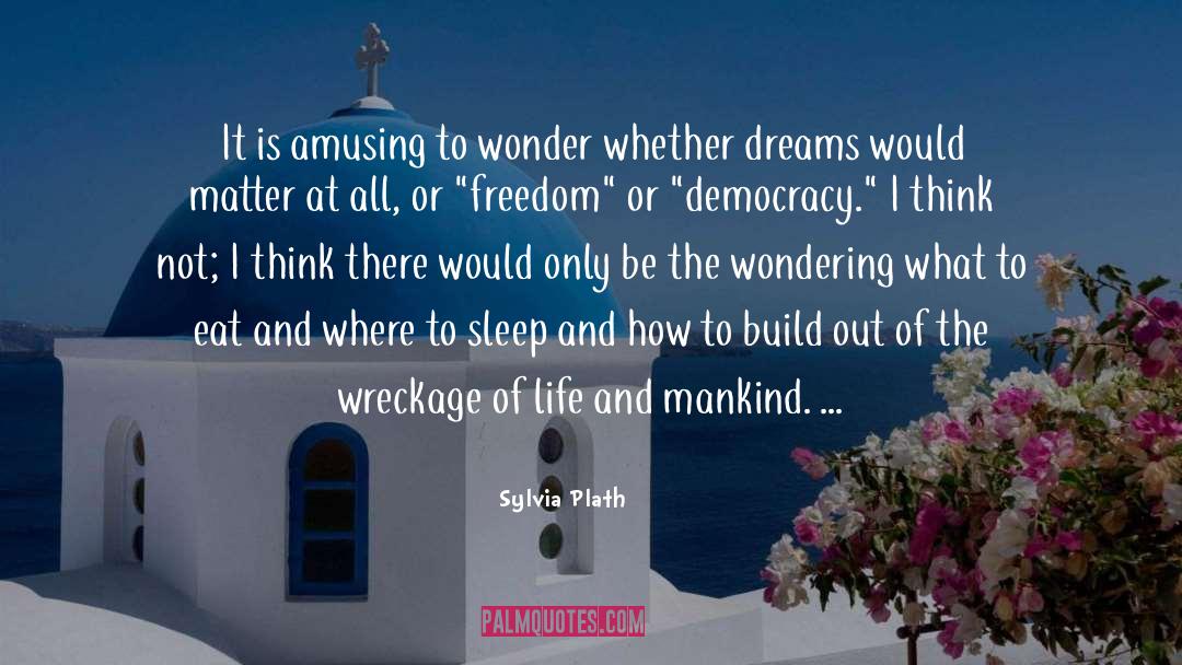 Build Others quotes by Sylvia Plath