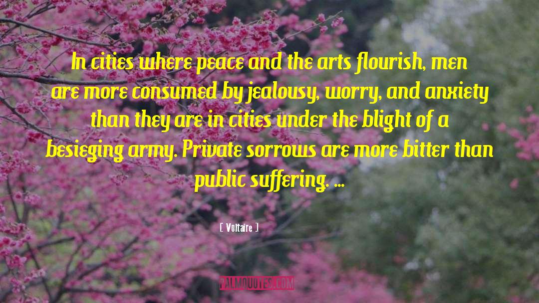 Build Peace quotes by Voltaire