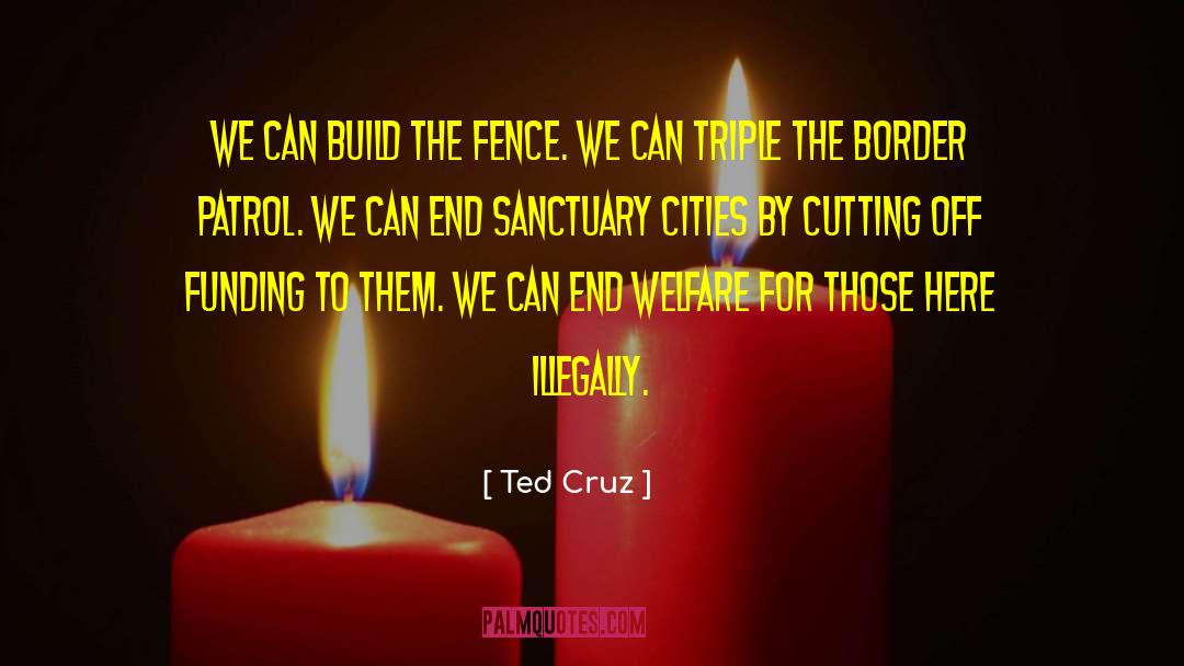 Build Walls quotes by Ted Cruz