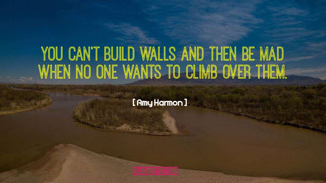 Build Walls quotes by Amy Harmon