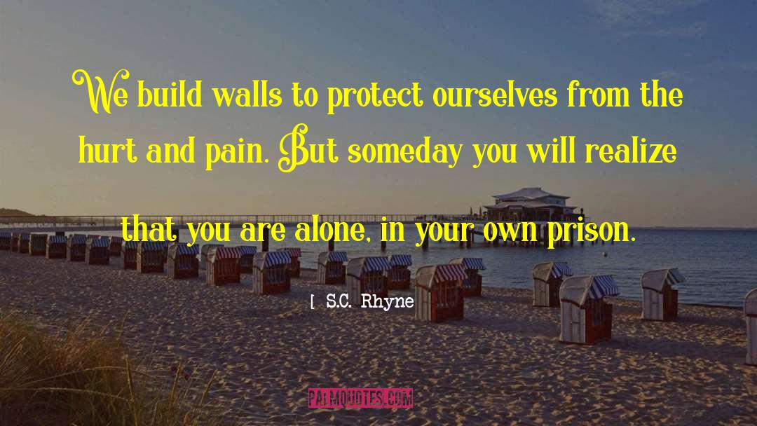 Build Walls quotes by S.C. Rhyne