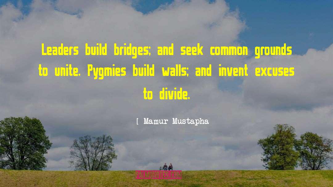 Build Walls quotes by Mamur Mustapha