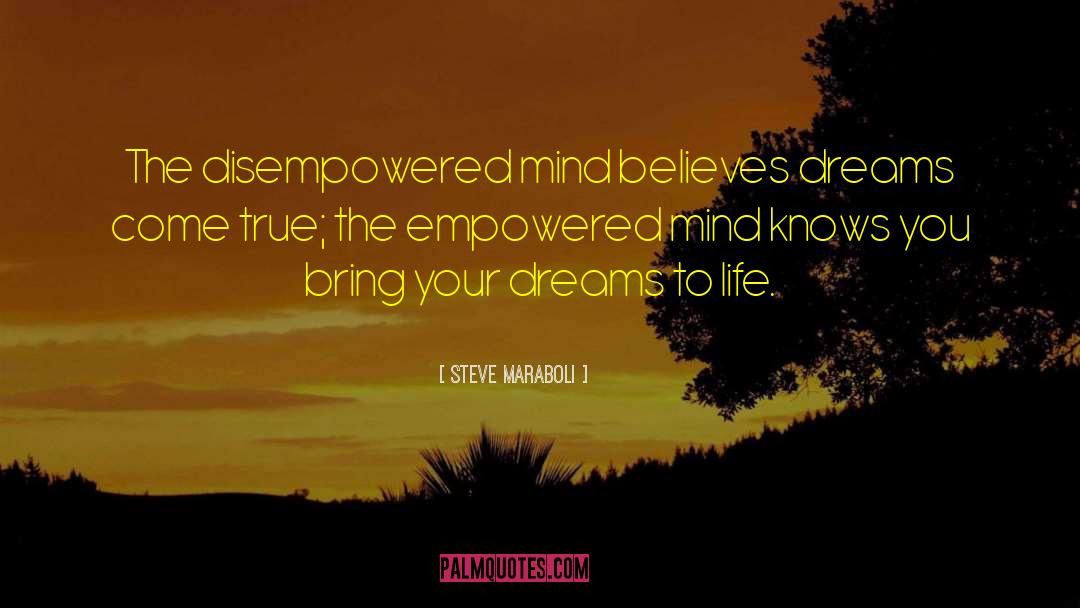 Build Your Dream quotes by Steve Maraboli