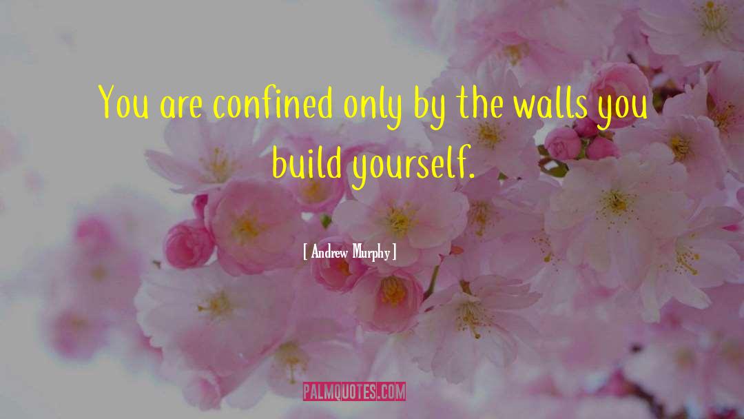 Build Yourself quotes by Andrew Murphy