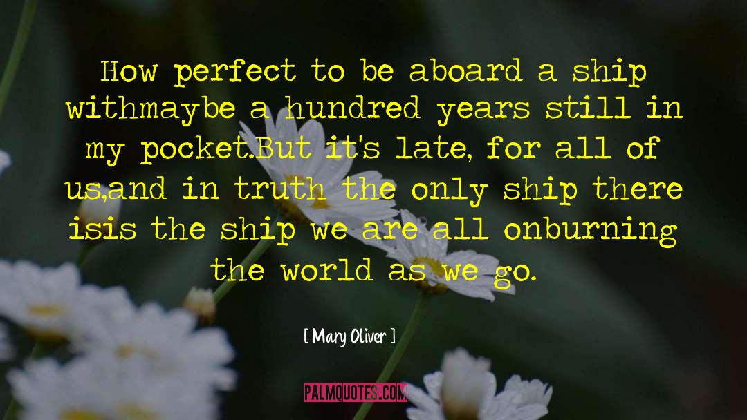 Building A Ship quotes by Mary Oliver