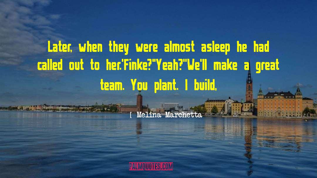 Building A Team quotes by Melina Marchetta
