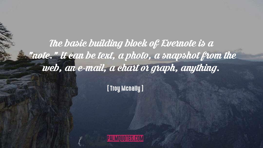 Building Block quotes by Troy Mcnally