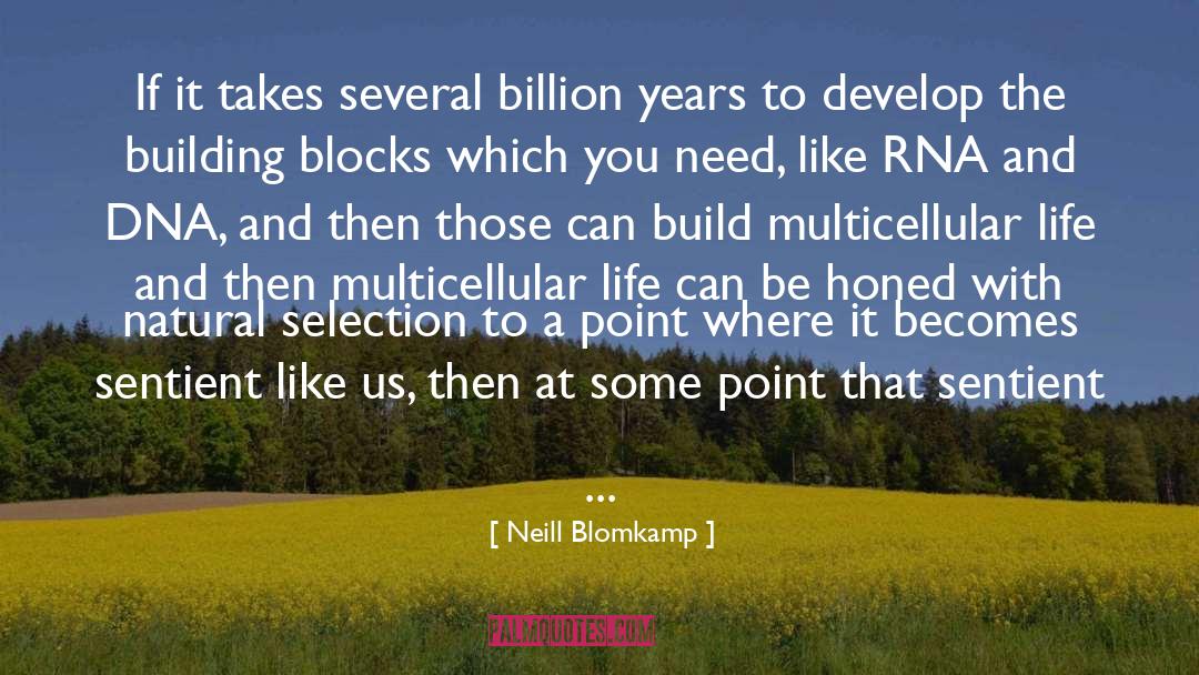 Building Blocks quotes by Neill Blomkamp