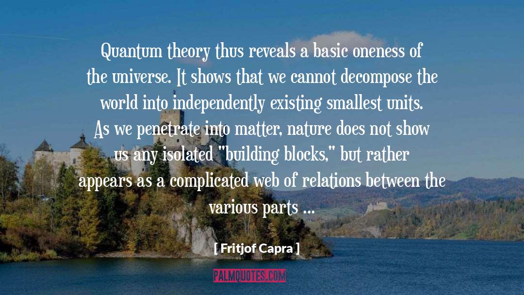 Building Blocks quotes by Fritjof Capra