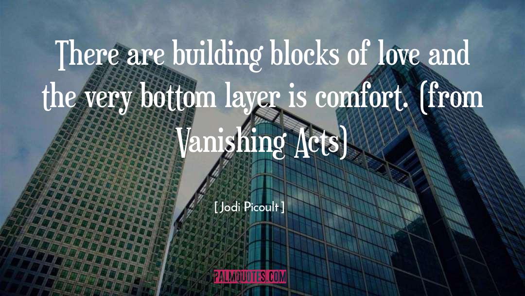 Building Blocks quotes by Jodi Picoult