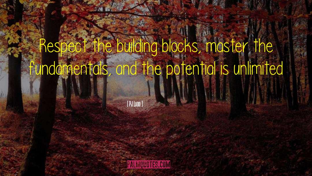 Building Blocks To Success quotes by PJ Ladd