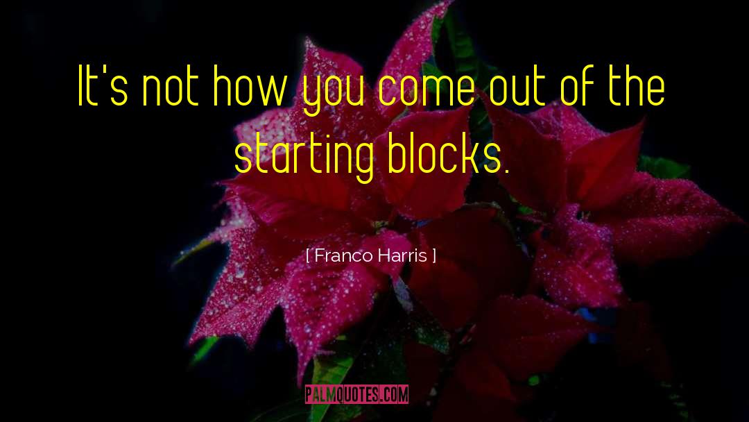 Building Blocks To Success quotes by Franco Harris