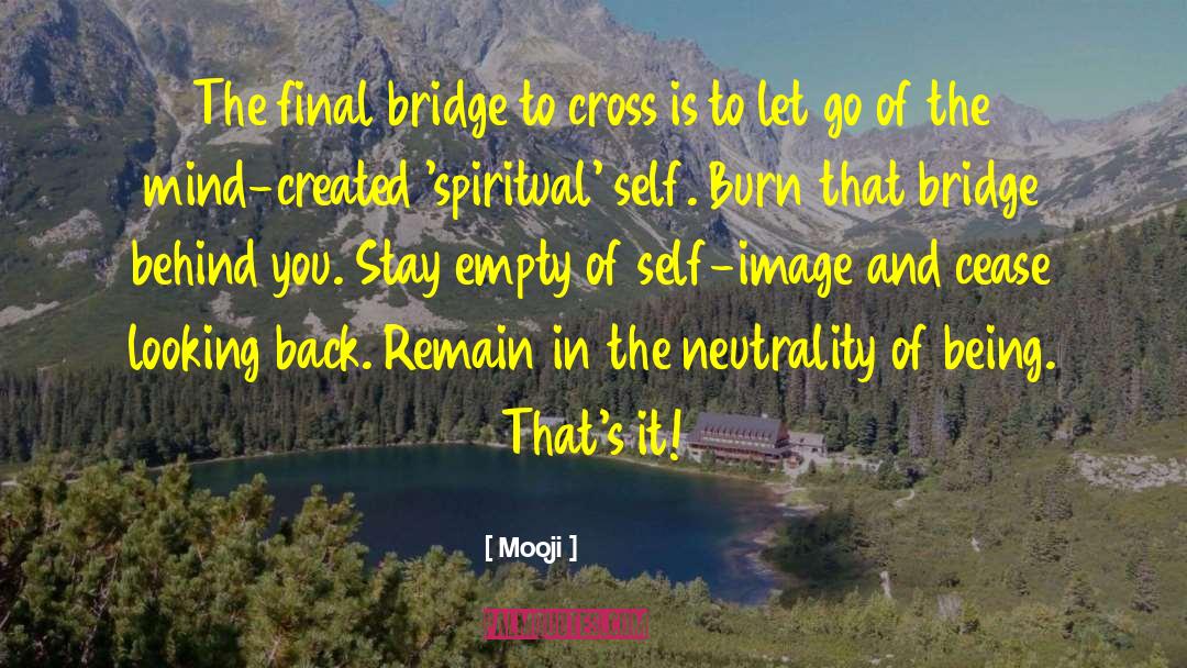 Building Bridges quotes by Mooji