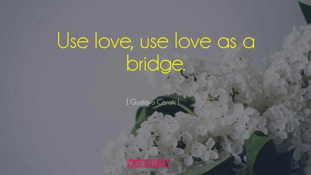 Building Bridges quotes by Gustavo Cerati