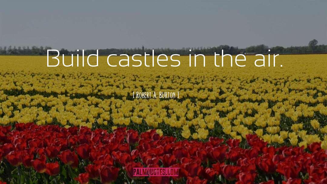 Building Castles In The Air quotes by Robert A. Burton
