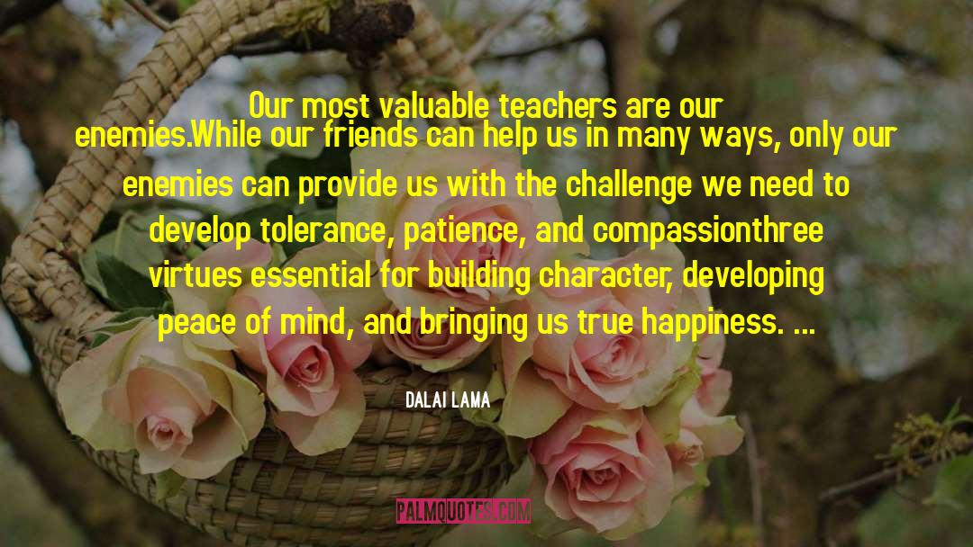 Building Character quotes by Dalai Lama