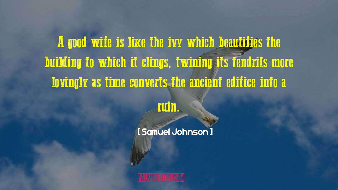 Building Character quotes by Samuel Johnson
