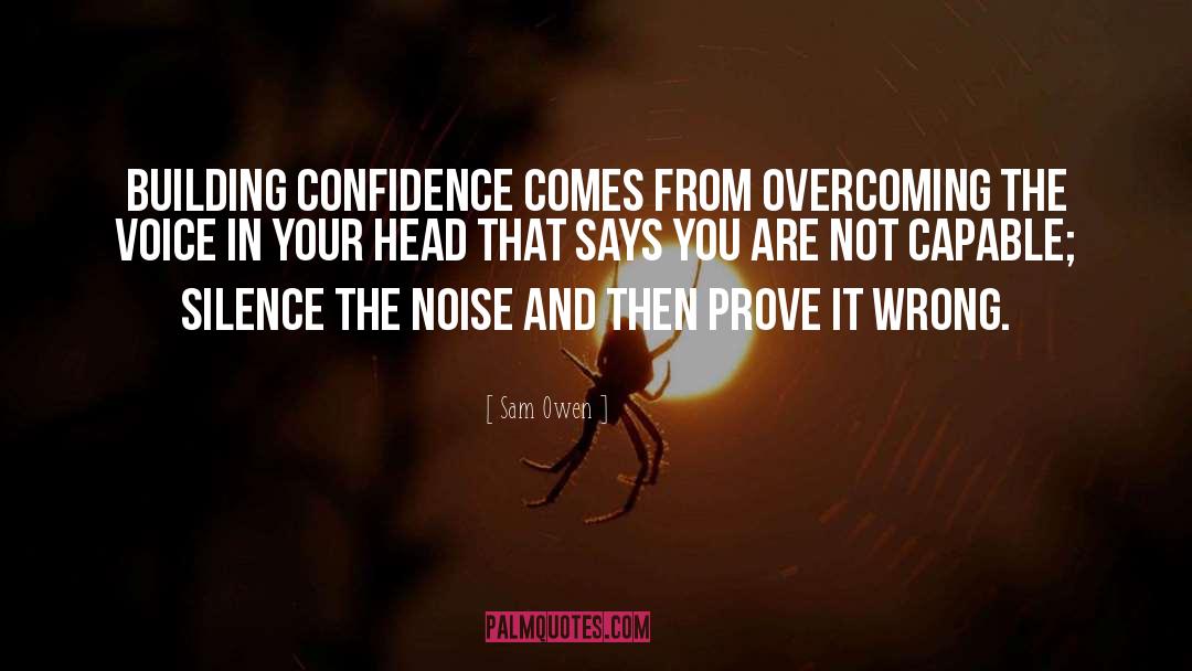 Building Confidence quotes by Sam Owen
