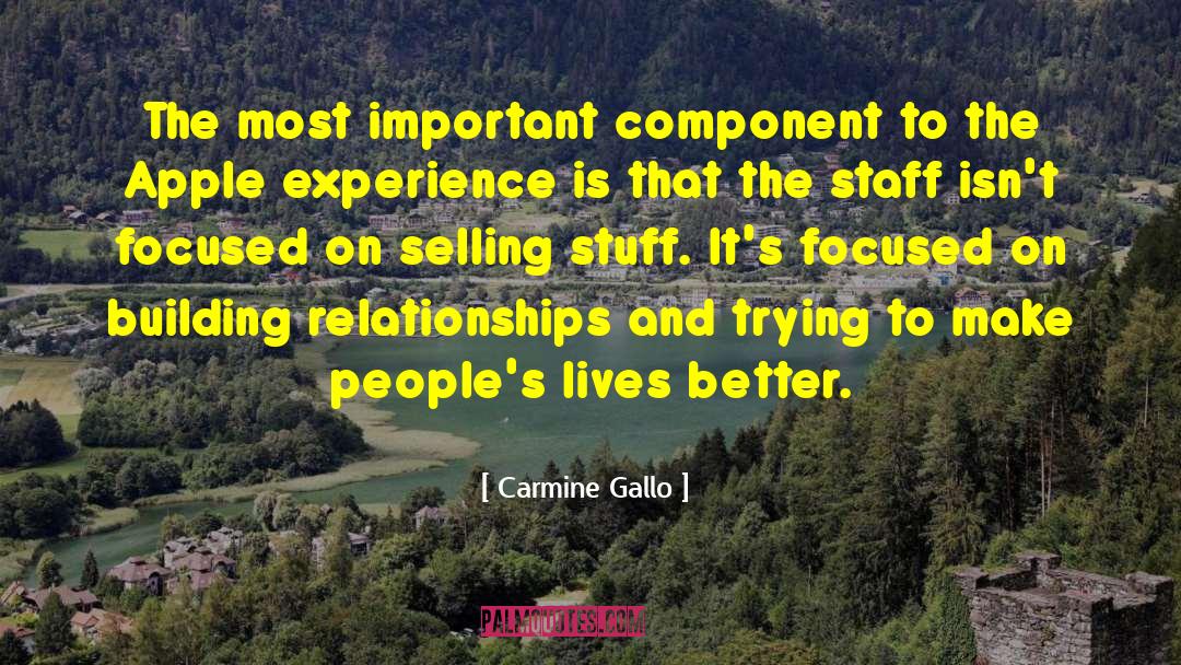 Building Relationships quotes by Carmine Gallo