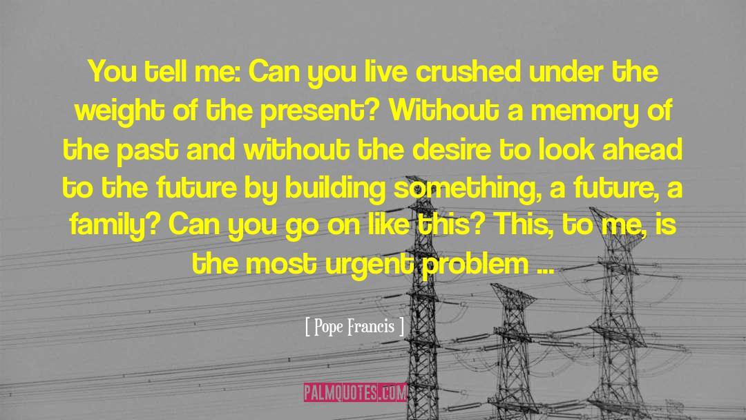 Building Something quotes by Pope Francis