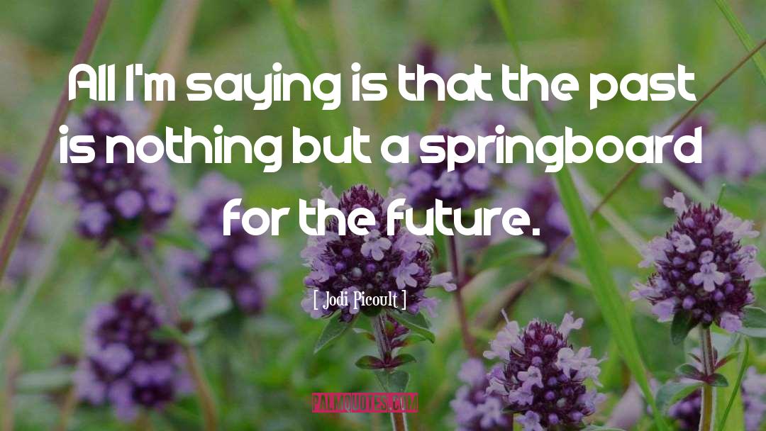 Building The Future quotes by Jodi Picoult