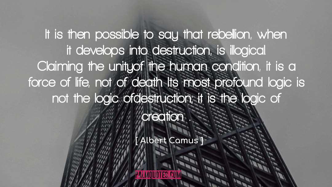 Building Unity quotes by Albert Camus