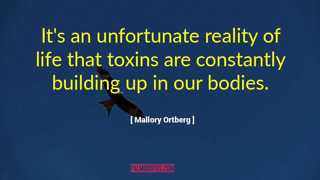 Building Up quotes by Mallory Ortberg