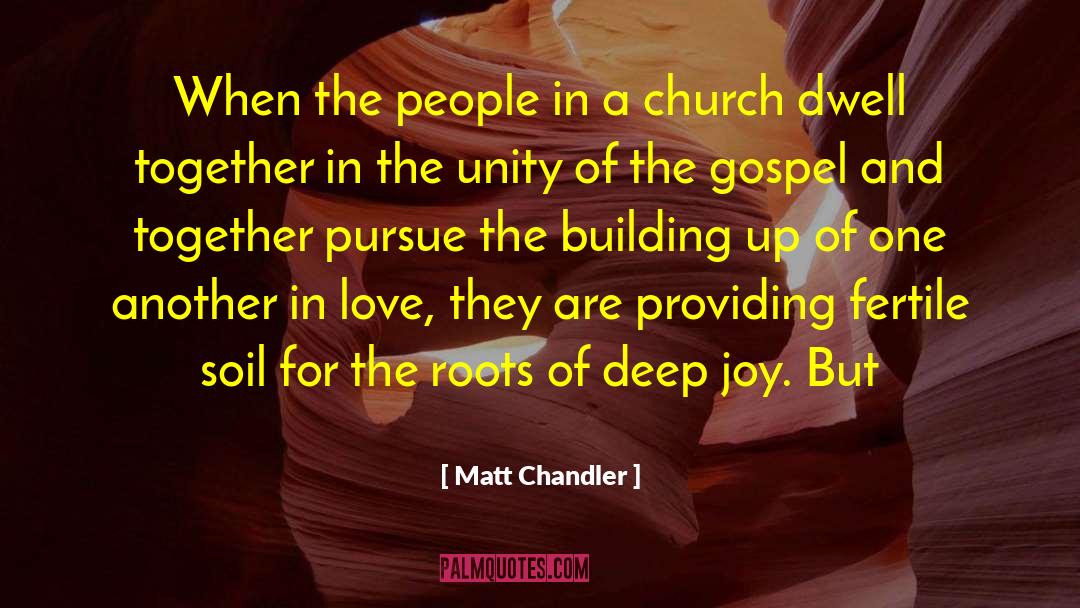 Building Up quotes by Matt Chandler