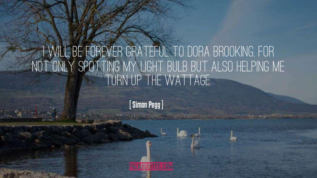 Bulb quotes by Simon Pegg