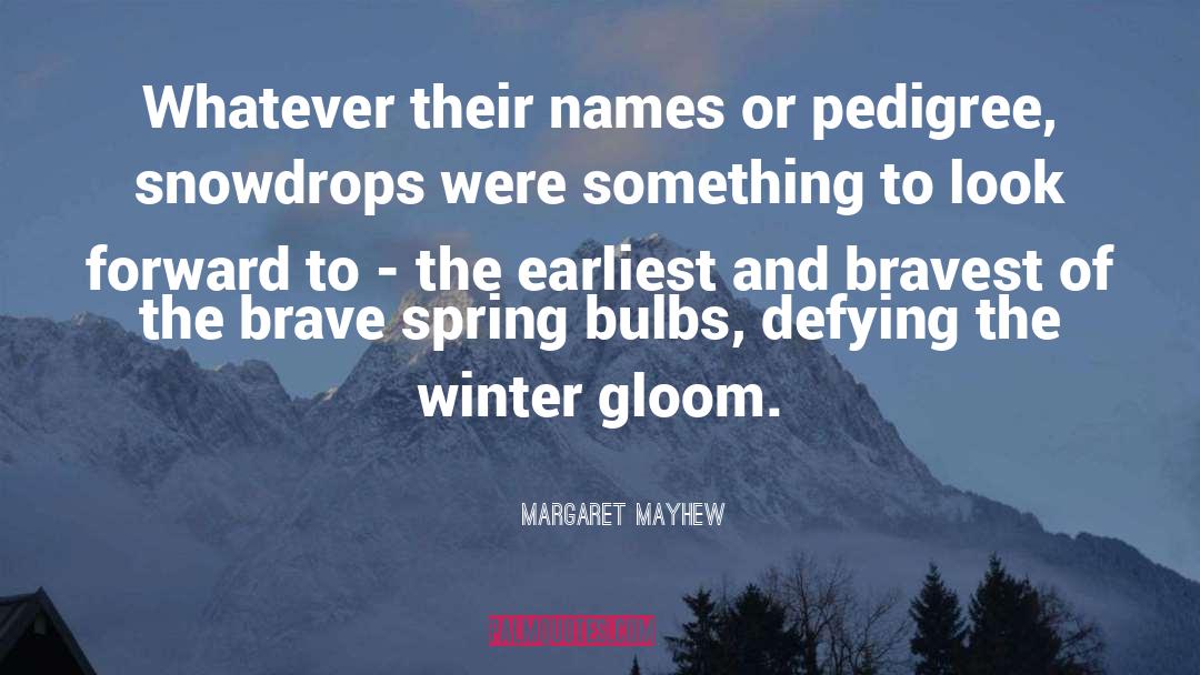 Bulbs quotes by Margaret Mayhew