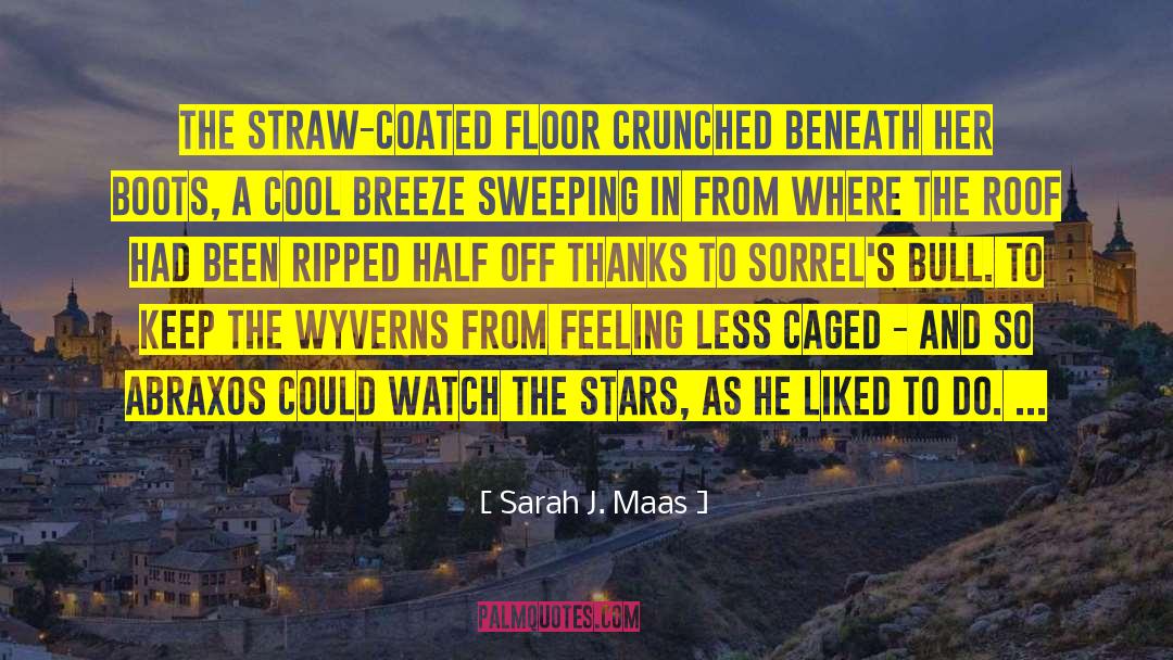 Bull Dozing quotes by Sarah J. Maas