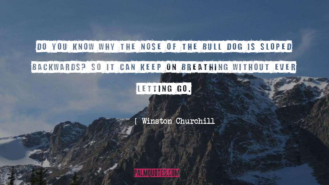 Bull Durham quotes by Winston Churchill