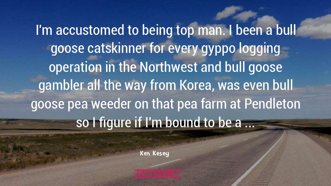 Bull Markets quotes by Ken Kesey