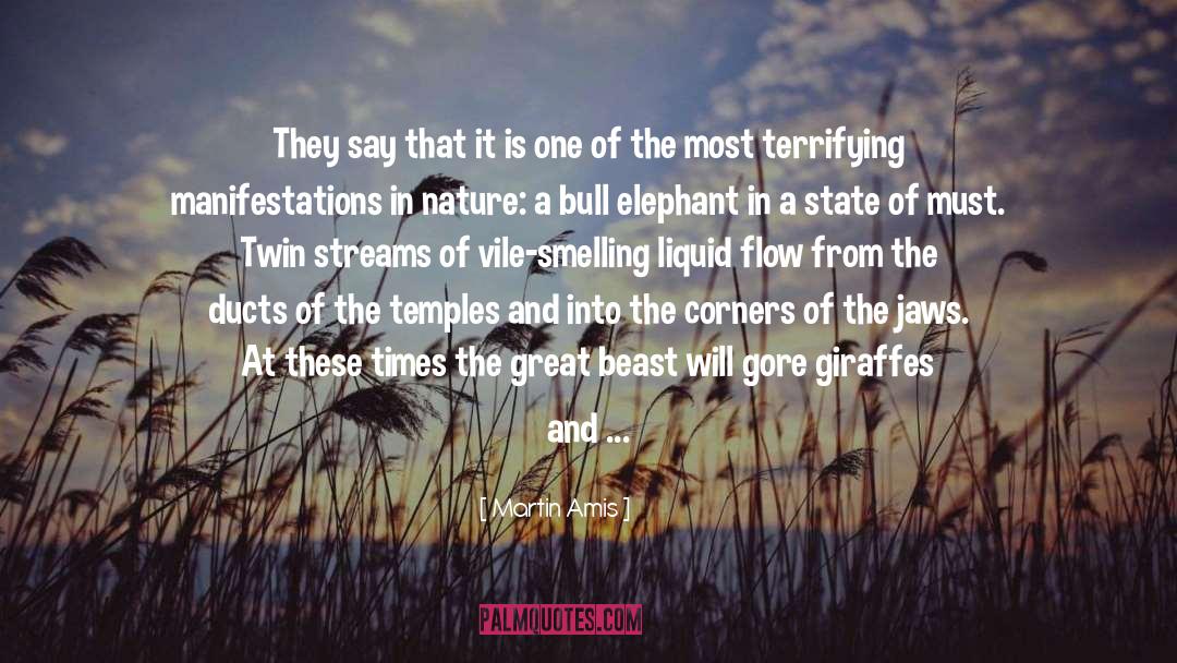 Bull quotes by Martin Amis