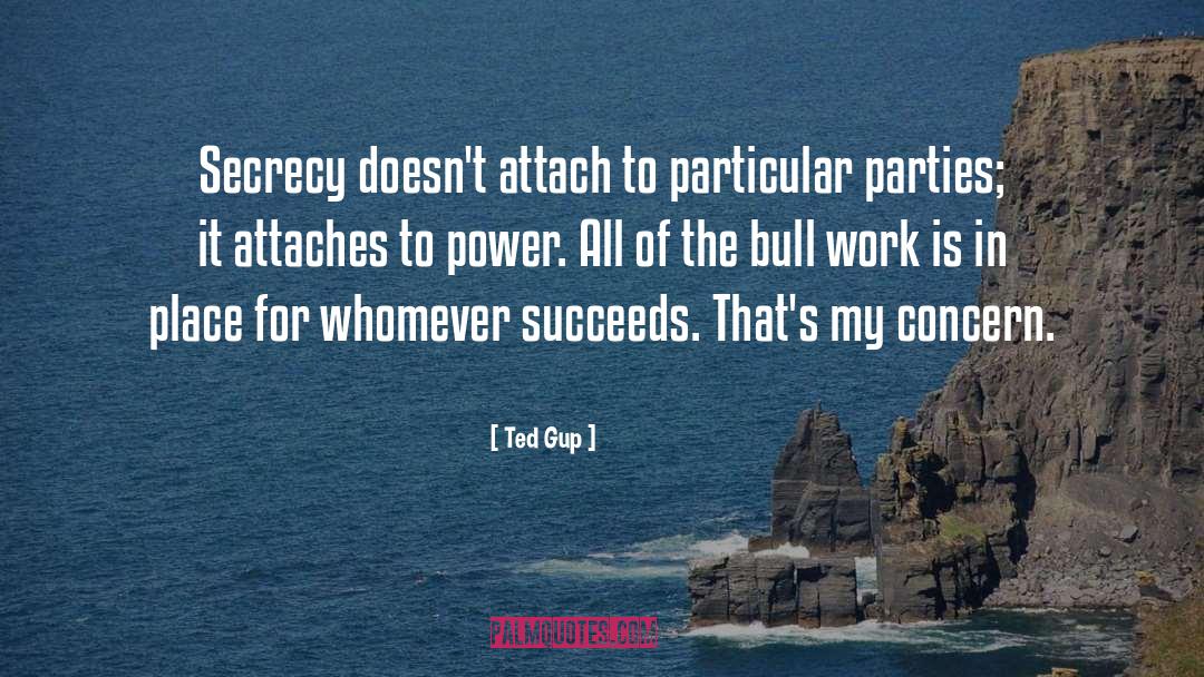 Bull quotes by Ted Gup