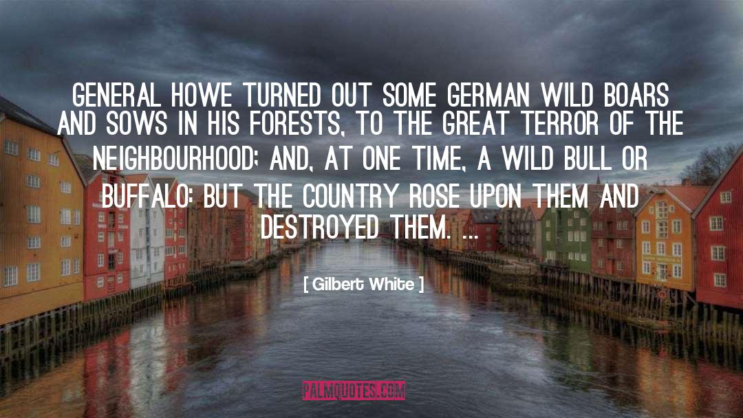 Bull Rider quotes by Gilbert White