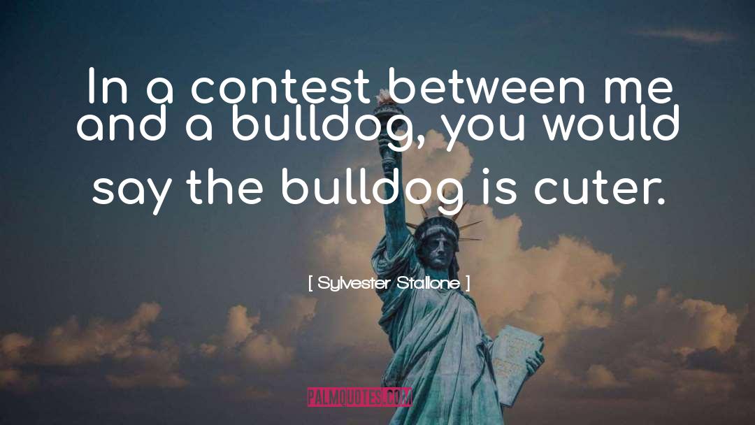 Bulldogs quotes by Sylvester Stallone
