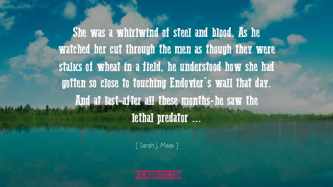 Bullens Field quotes by Sarah J. Maas