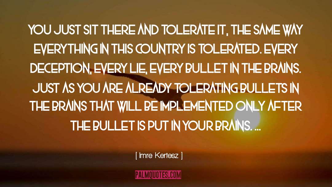 Bullet quotes by Imre Kertesz
