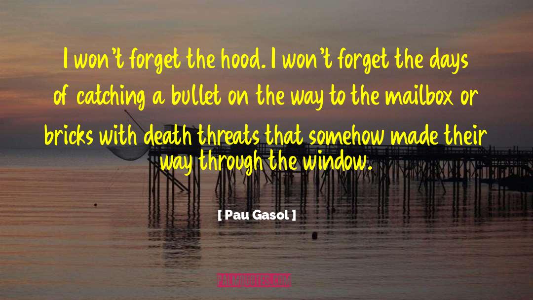 Bullet Resistant quotes by Pau Gasol