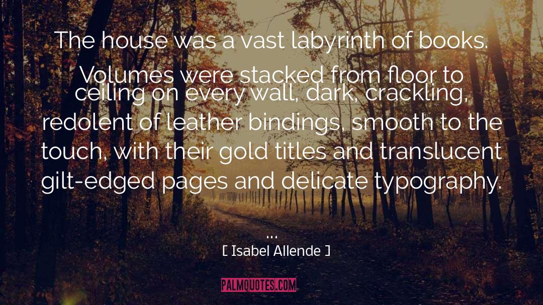 Bullions Of Gold quotes by Isabel Allende