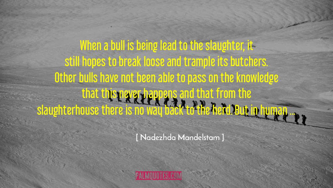 Bulls quotes by Nadezhda Mandelstam