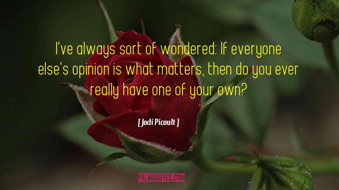 Bullshit Vs What Really Matters quotes by Jodi Picoult