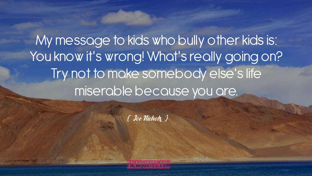 Bullying Actions quotes by Joe Nichols