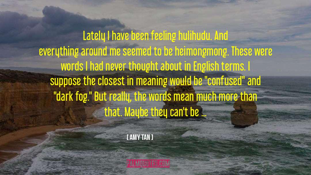 Bultos In English quotes by Amy Tan